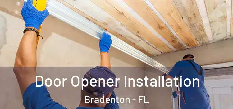 Door Opener Installation Bradenton - FL