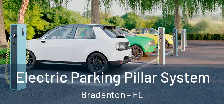 Electric Parking Pillar System Bradenton - FL