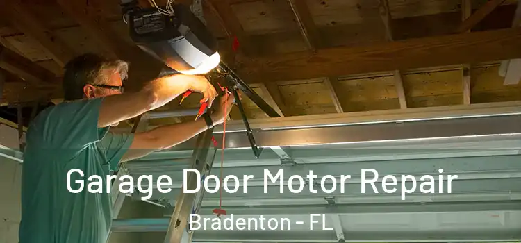  Garage Door Motor Repair Bradenton - FL
